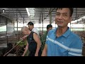DÊ Ủ TRẤU CỰC NGON | Khám phá quán Dê Lớn nhất Ninh Bình - KHỔ SỞ quy trình dê ủ trấu đầy khói bụi
