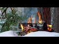 Campfire in a Snowy Forest ❄️ Natural Ambience & Crackling Sounds