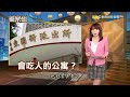 木乃伊無名女屍身刺「蝴蝶刺青」倒堤防邊！冥冥中蝴蝶帶路助警緝兇？《重案組》