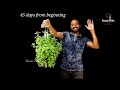 Recycle Plastic Bottle into Hanging Pots to Easily grow Pudina / Mint | Vertical Gardening