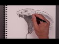 How To Draw a Cobra | Sketch Tutorial