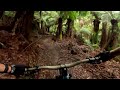 Blue Derby RAW - Up on the Blue Tier riding Big chook for a fern forest filled flow fest