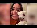 1 Hour of Funniest Cats 🐱 and Dogs 🐶 Videos 2023