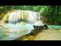 Tranquil Nature Sounds: Beautiful  Music for Stress Relief and Inner Peace 🌿/Relaxing Music