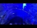 Fish tunnel