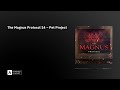The Magnus Protocol 14 – Pet Project
