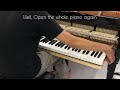 What if you MUTE your GRAND PIANO ? (DIY for non-technician)