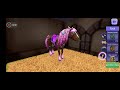 GETTING FLOSSIE!!!/(speed up the vid)|Horseridingtales