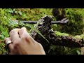 'Moist Tree Trunk' Frog and Newt Paludarium | '축축한 나무 줄기' 개구리와 뉴트를 위한 팔루다리움 | Indoor Jungle 실내 속 정글