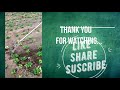 hand weeder kaise banaye  | how make hand weeder  | agriculture tools