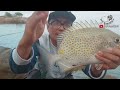 5 Effective Tips for Fishing for Baronang Fish Using a Tegek Rod||Fishing for Baronang Baboon