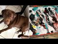 Abstrakte Acrylmalerei | Rakeltechnik | spannende Muster | abstract art | abstract painting | DIYArt