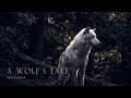 A Wolf's Tale I Meditation Music I Female Vocals