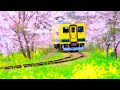4 時間連続プレイ集 🍀  エモーショナルジブリアンOSTアンソロジー🍟最高の曲のコレクション - Studio Ghibli Music - 崖の上のポニョ, コクリコ坂から, 風の谷のナウシカ