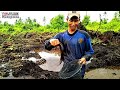 Detik-detik Excavator menemukan sarang ikan Lembat Amazing pisan..!!