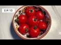 【牛乳パックでミニトマトを育てる】#水耕栽培　#背の低いミニトマト