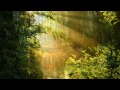 Study Music, Concentration Music, Meditation, Focus Music, Work Music, Relaxing Music, Study, ☯712