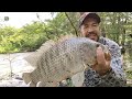 miles de peces que esta aventando esta presa por fin se vino el buen temporal una mega pesca