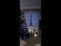 Christmas shenanigans with Victoria!  Music: Jingle Bells instrumental by Coral Águia Music
