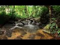 Unlocking the Secrets of Stillness: Exploring the Peaceful Nature of Rocky Watercourses - ASMR
