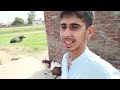 Madukalis village tour|Gaon ki sada zindagi|Routine vlogs|village life in pakistan|Daily Dina Vlogs