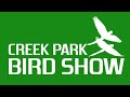 Creek Park Bird Show in Dubai Dolphinarium