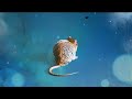 Rat’s Return 🐁🐀 | Cat Games | Video for Cats | Cat TV  (2023)