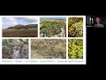 ILI Webinar: Nature Conservation and the Biodiversity Crisis with Melinda Lyons