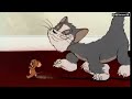 টমের চোখ কানা করলো জেরি / Tom And Jerry / টম এন্ড জেরি বাংলা / Tom And Jerry Bangla Cartoon