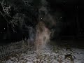 Real ghost photos
