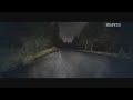 DiRT3-RALLY-FINLAND-1-PERFECT TRICK