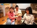 家で犬と「かくれんぼ」やったら～まさかの結果に！ - はねまりチャンネル