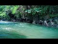 Stream nature sounds relaxing river flowing for sleeping meditation healing soothing