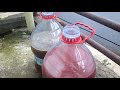 Proses Membuat PSB Photo Synthetic Bacteria (Bakteri Fotosintesis) Tanpa Biang PSB