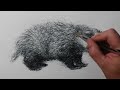 How to Draw a Badger | INSANE Drawing Skillz