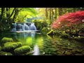 Floresta 4K • Filme de relaxamento da natureza • Música relaxante e pacífica • Vídeo 4k Ultra HD