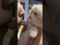 This is probably the cutest video i've ever seen ( NOT MINE )