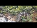 লাকমাছড়া ঝর্ণা || Lakmachora falls
