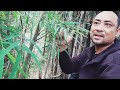 pembolangan bambu unik disekitaran legok @sukronmakmun123