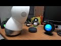 Battle Royale - Jibo vs Alexa (Echo Spot) vs Google Home Mini