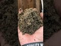 Cow manure compost comparison
