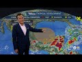 Tropical depression could form in Gulf of Mexico next week