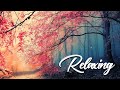 Relaxing Piano Music • Sleep Music, Water Sounds, Relaxing Music, Meditation Music vol 15
