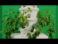 Growing With Aeroponics - See How The Airgarden Works