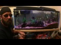 Fish Behind Glass Ep. 15- 