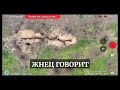 Destructtion of Ukrainian forces on Zaporizhia front