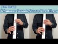 [EWI Cover] Telemann/Canonic Sonata No.1 Allegro, EWI5000 with Delay