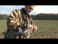 How to be a Pigeon Shooting Expert with James Marchington