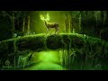 Enchanted Forest Music ༄ Relaxing Magical Forest Music 🌳 Spirits Of The Woodland