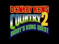 David Wise - Stickerbush Symphony (Donkey Kong Country 2: Diddy's Kong Quest)